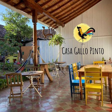 Casa Gallo Pinto Granada Bagian luar foto