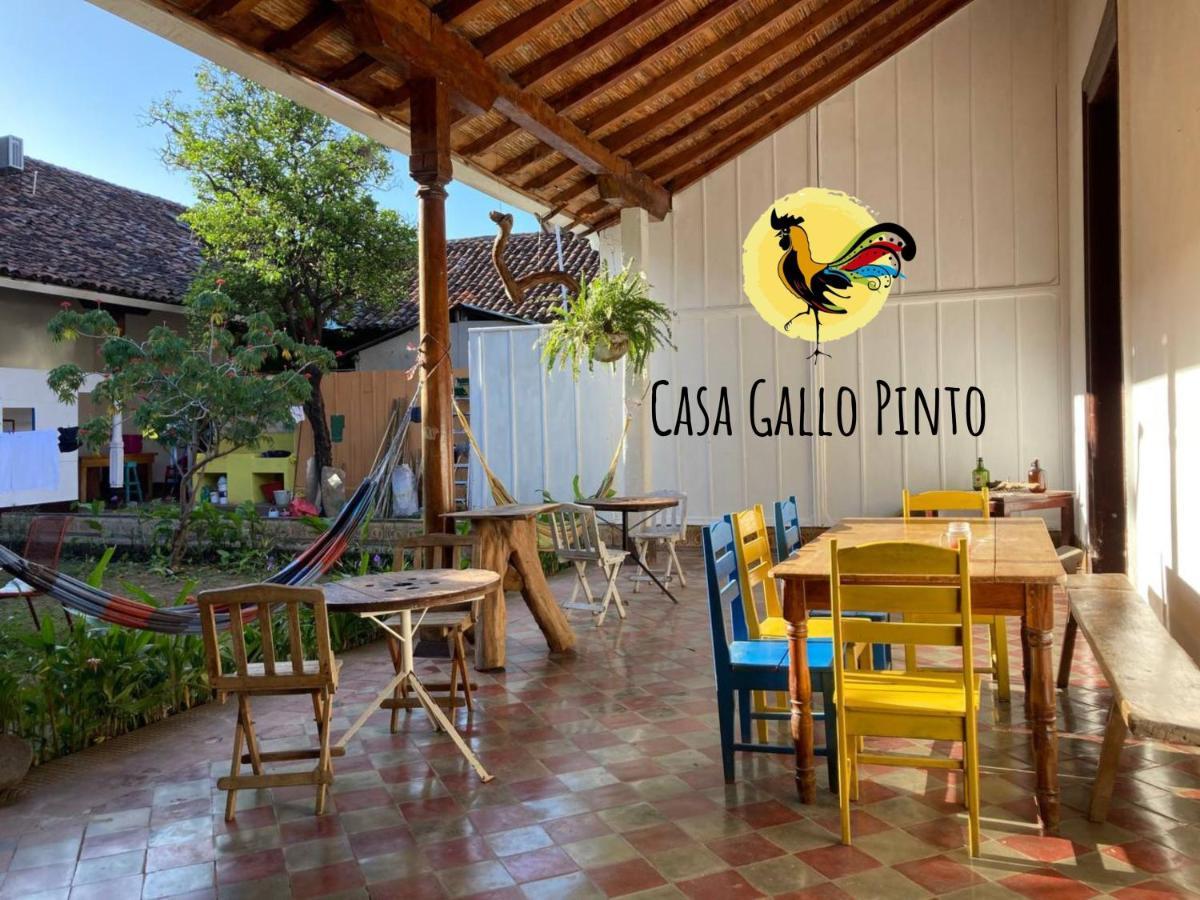 Casa Gallo Pinto Granada Bagian luar foto